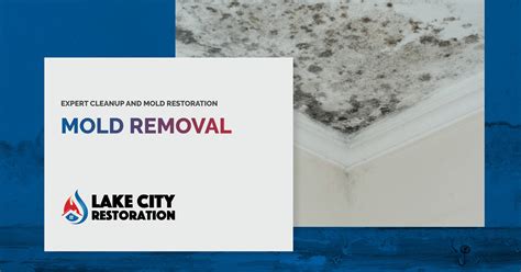Mold Removal And Remediation Lake City Restoration Kosciusko County