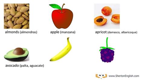 View Frutas En Ingles Y Espaã±ol Background Sado