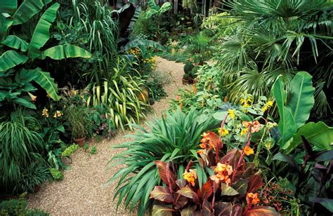 Striking Tropical Flowers May Bloom Continuously In Your Landscape