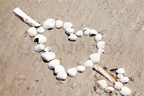 Heart Made From Sea Shells Stock Image Colourbox