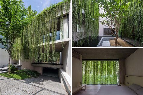 Extensive Hanging Plants Soften The Use Of Concrete In This Homes Design