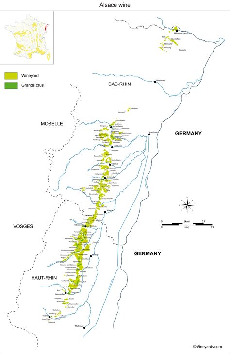 Alsatian Vineyards And Grands Crus Wines Infographic Map Infographics