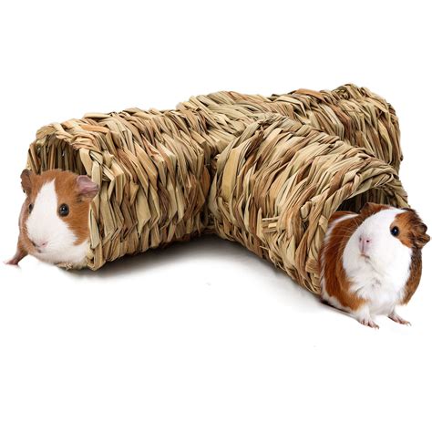 The Best Guinea Pig Toys Of 2023 By The Spruce Pets