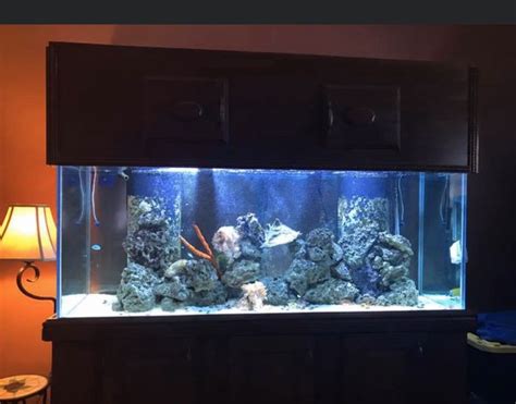 225 Gallon Saltwater Fish Tank For Sale In Fort Pierce Fl Offerup