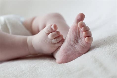 40891 Baby Feet Stock Photos Free And Royalty Free Stock Photos From