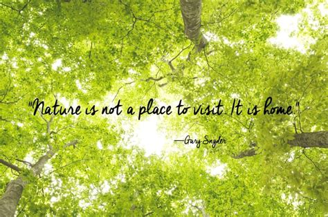 24 Of The Most Beautiful Quotes About Nature Short Nature Quotes