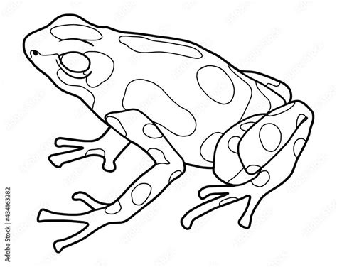 Little Frog Spotted Poison Dart Frog Coloring Page Black Outline