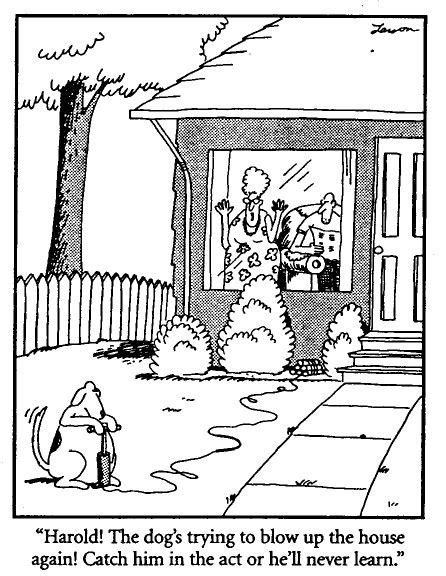 Bad Dog 60 Observations On Life From The Far Side By Gary