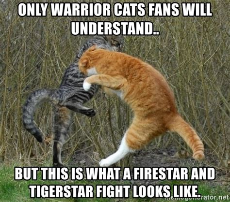 Warrior cat memes warrior cats series warrior cats books warrior cats art warrior cats comics the warriors book love warriors warriors memes cat warrior cats scourge | tumblr. Only warrior cats fans will understand.. but this is what a firestar and tigerstar fight looks ...