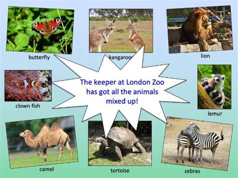 Matching Animals To Their Habitat Ks1ks2 Teaching Resources