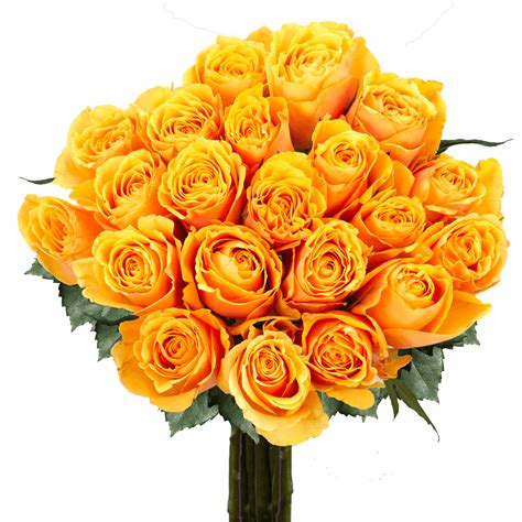 Best Yellow Roses Euforia Roses Free Delivery Globalrose