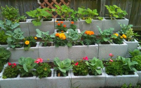 19 Cool Cinder Block Planters That Everyone Can Make