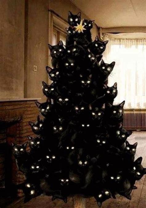 Crazy Cat Lady Christmas Tree Cats Know Your Meme