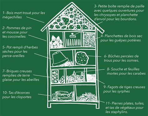 DIY hôtel à insectes | Une hirondelle dans les tiroirs