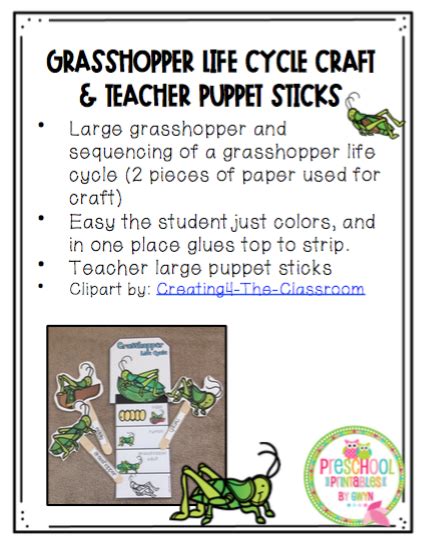 Grasshopper Life Cycle Easy Craft Plus Teacher Puppet Sticks