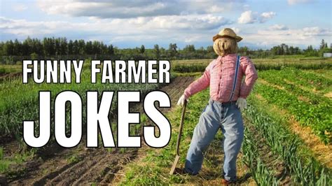 140 Farmer Jokes About Agriculture And Farming Humornama