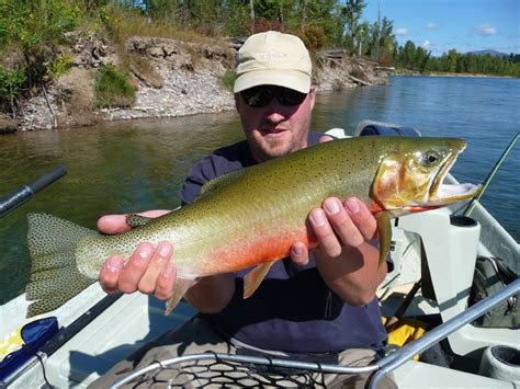 Flathead River Fly Fishing Guides