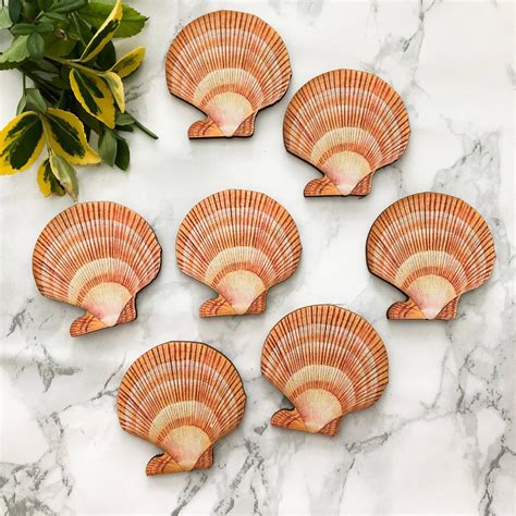 Pretty Sea Shell S 01 Wooden Cutout For Crafting And Etsy Uk
