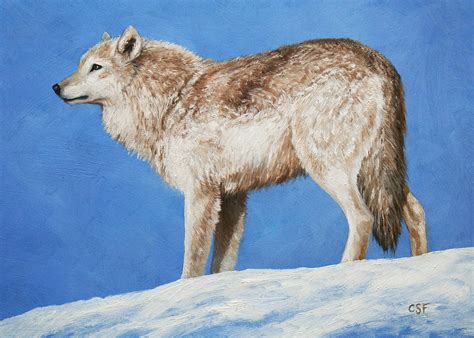 Snowy Wolf Painting By Crista Forest