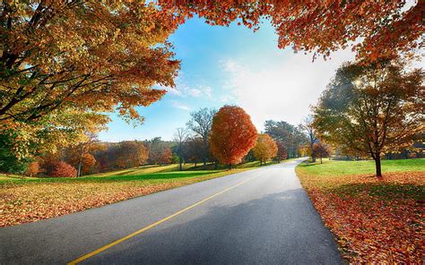 2k Free Download Late Autumn Road Natural Landscape Hd Wallpaper