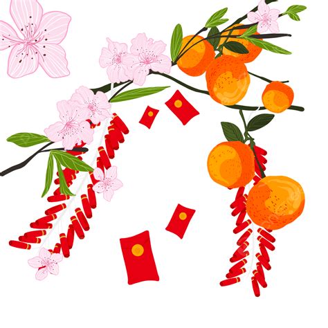 베트남 봄 일러스트 축제 축하 설 중국의 설날 제전 금귤 Png 일러스트 및 Psd 이미지 무료 다운로드 Pngtree