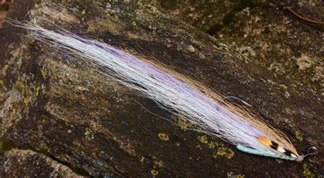 Striped Bass Flies Fly Fishing Photos Fly Dreamers