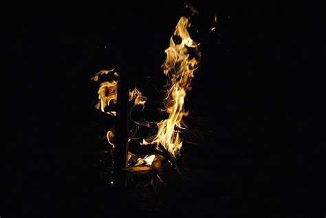 Fire Night Wood Burning Flame Fire Natural Phenomenon Hd