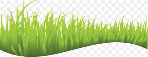 Vector Graphics Clip Art Lawn Image Royalty Free Png 1600x620px Lawn