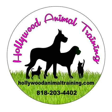 From Home Harmony To Hollywood Excellence We Train Animals For Success