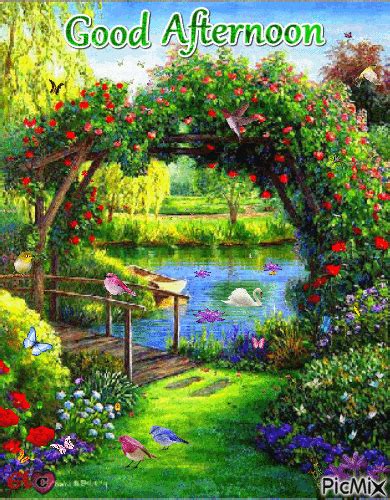 Beautiful Garden Good Afternoon Pictures Photos And Images For