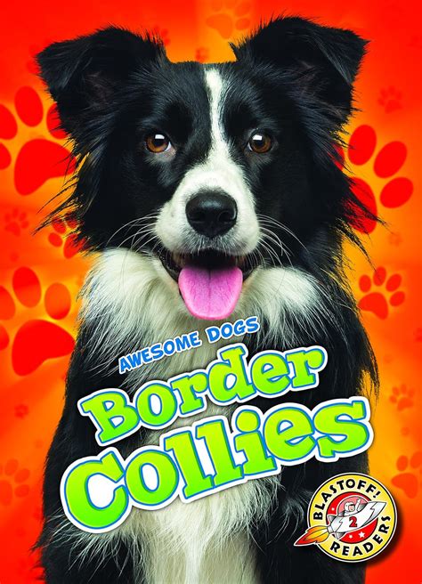 Border Collies Awesome Dogs Sabelko Rebecca Books
