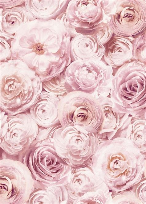 Arthouse Blush Pink Wild Rose Wallpaper 1005m X 53cm Pink Pink