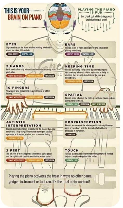 This Is Your Brain On Piano The Keyboard Corner Music Player