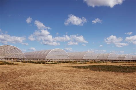 Blueprint For A Land Of Droughts And Flooding Rains