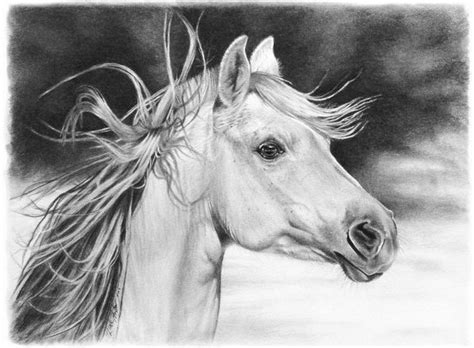 Dibujos de animales a lápiz