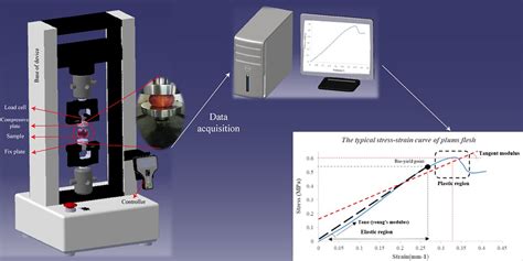 Component Of The Compression Test Apparatus And The Stressstrain Graph