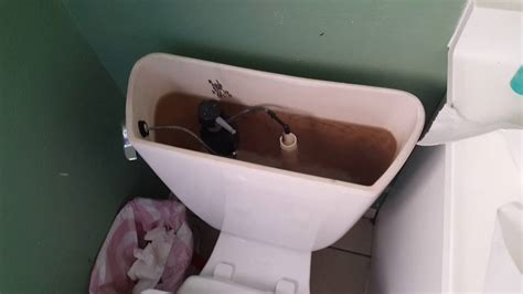 From what i've heard these toilets have gotten really bad reviews and they clog too much. 19: 1993 Kohler Wellworth Lite Toilet Tank View - YouTube