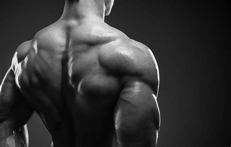 Back Muscle Wallpapers Top Free Back Muscle Backgrounds Wallpaperaccess