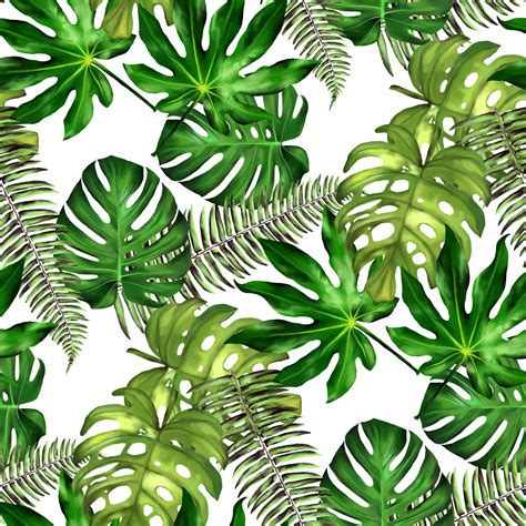 Tropical Leaves Seamless Floral Background Isolated On White Vector