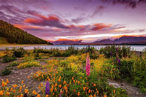 1080p Free Download Lake Beauty Meadow Beautiful Grass Serenity