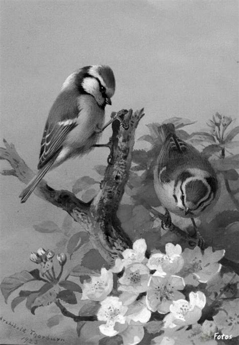 We did not find results for: Pin by Coloring Book Zone on Birds | Grayscale coloring ...