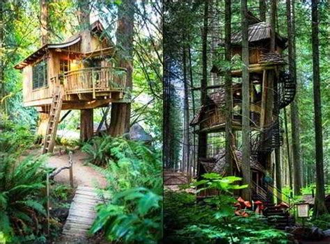 Cara membuat jemuran pakaian dari bambu. ツ 10 desain rumah pohon sederhana dari kayu & bambu dan ...