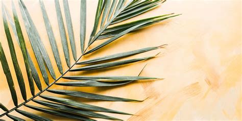 12 Palm Sunday Scripture Verses Easter Quotes From The Bible