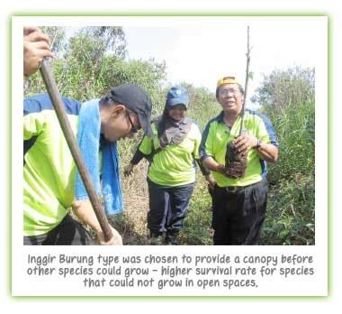 Purchase the harta maintenance sdn. World Wetlands Day - Harta Maintenance Sdn. Bhd.