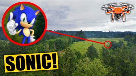 My Drone Caught Sonic The Hedgehog In A Creepy Forest Sonic In Real