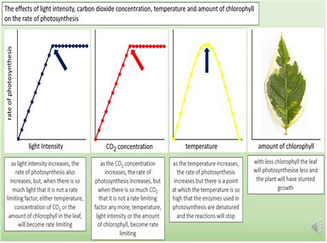 Aqa Gcse Biology Photosynthesis Rate Limiting Factors Glass Houses Teaching Resources