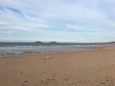 Yellowcraig Beach 2019 (Dirleton) - Everything You Need to Know Before