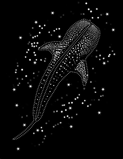 Entry 69 By Prosales1069 For Whale Shark Constellation Design Freelancer