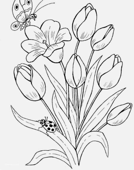 28 Sketsa Bunga Yang Sederhana Galeri Bunga Hd