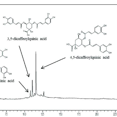 Representative Hplc Ms Chromatogram Of 34 Dicaffeoylquninic Acid